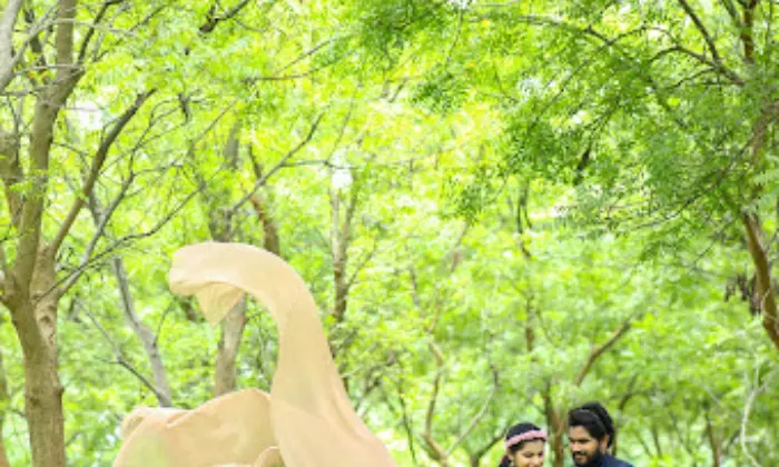 Kanchi Designer Silks  Best Silk